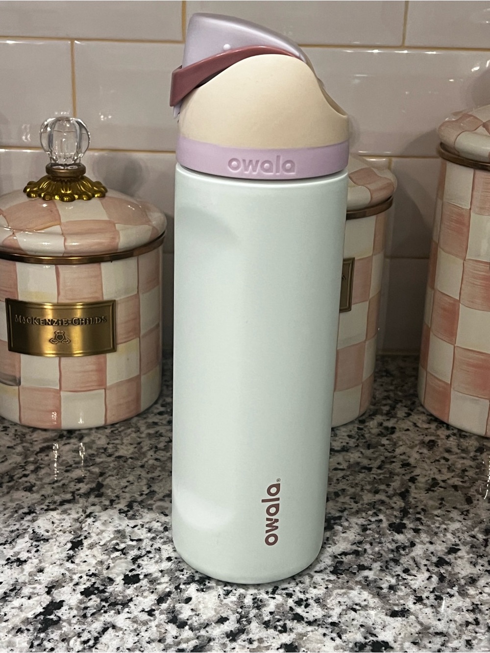 Owala 24 oz Coastal Mist water bottle